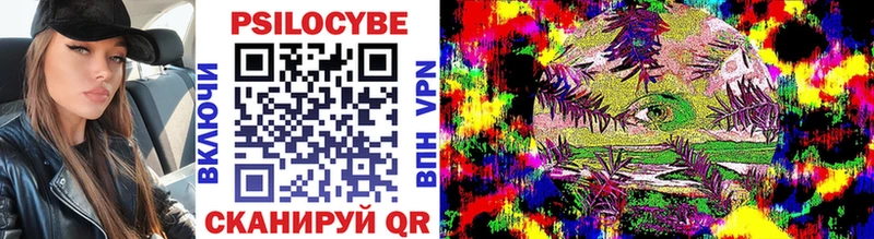 Псилоцибиновые грибы Cubensis  кракен зеркало  Михайлов 