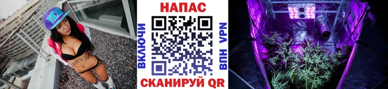 Конопля конопля  магазин продажи   KRAKEN маркетплейс  Михайлов 